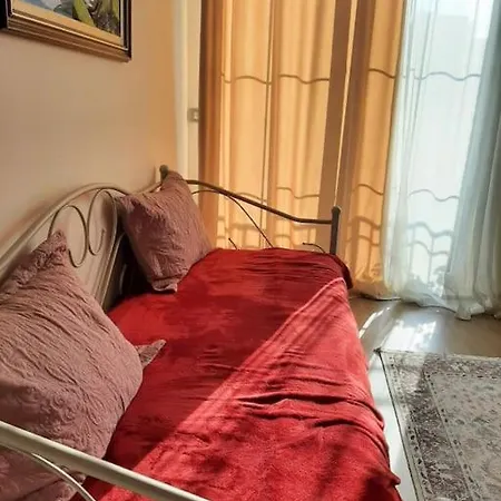 公寓 Julio Center 地拉那